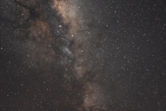 ANT_5584