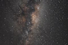 ANT_5592