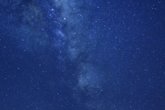 ANT_5601
