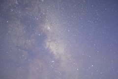 ANT_4935